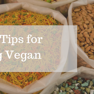 5 Top Tips for Becoming Vegan