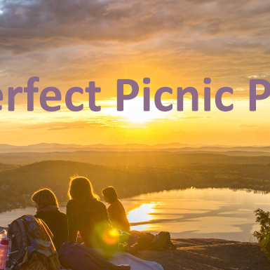 The perfect Picnic Pack