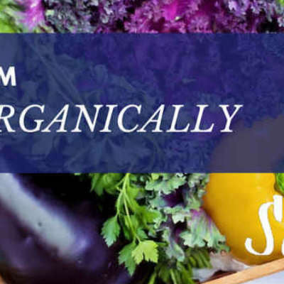 5 Benefits From Eating Organically