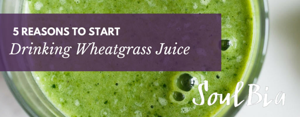 5 Reasons To Start Drinking Wheatgrass Juice
