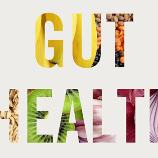 Curious about Foods Good for Gut Health?