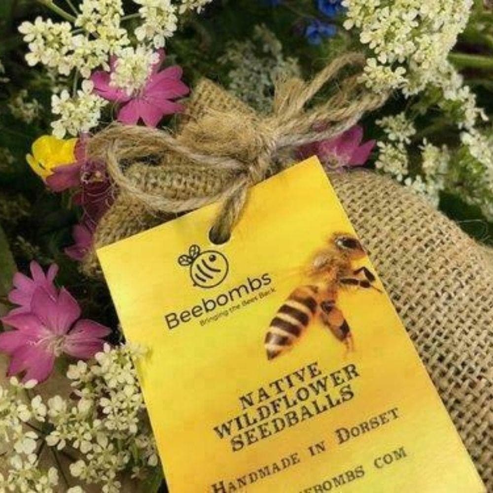 Beebombs - Native Wildflower Seedballs - SoulBia